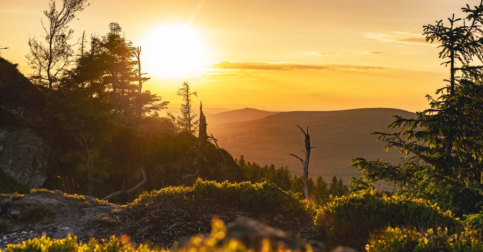 Wysoki Kamień foto copyright www.kotylak.pl Rafał Kotylak (3)