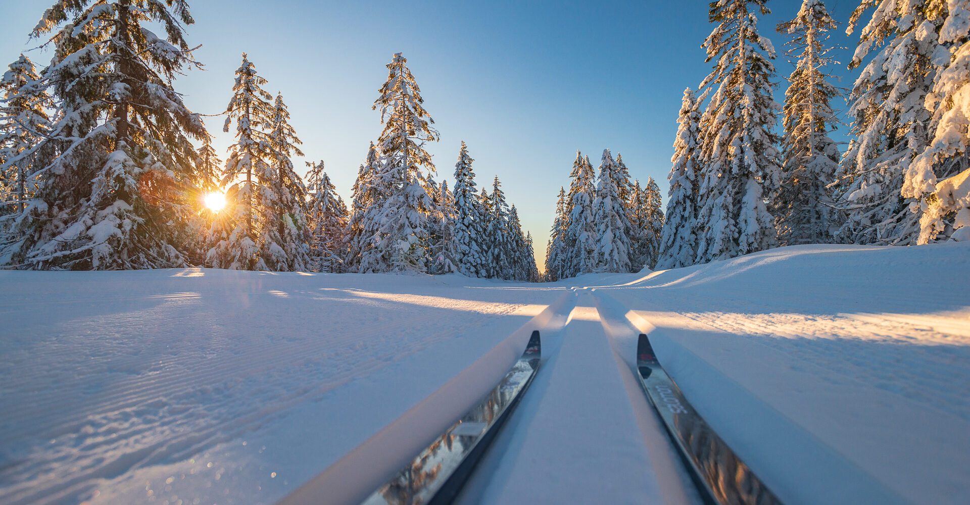 foto-www.kotylak.pl-rafal-kotylak-3-e1681982368973