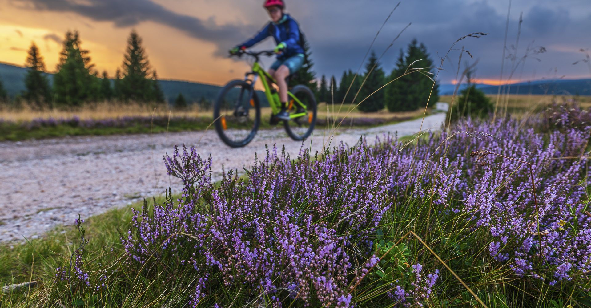 hala izerska foto copyright www.kotylak.pl Rafał Kotylak (1)